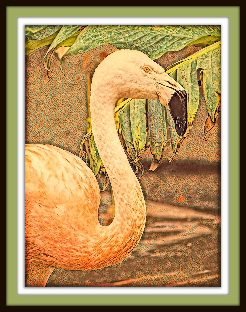 Lou Ann's Flamingo by Weezilou