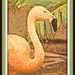 Lou Ann's Flamingo by Weezilou