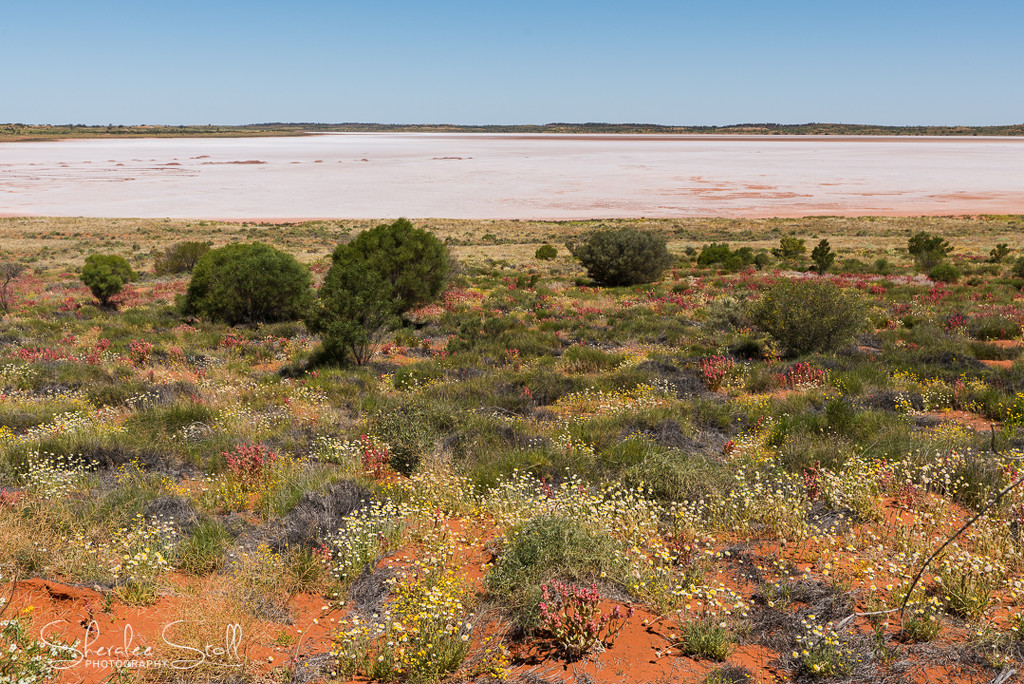 Dry salt lake in the Red Centre by bella_ss