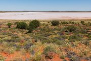 24th Jan 2017 - Dry salt lake in the Red Centre