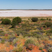 Dry salt lake in the Red Centre by bella_ss