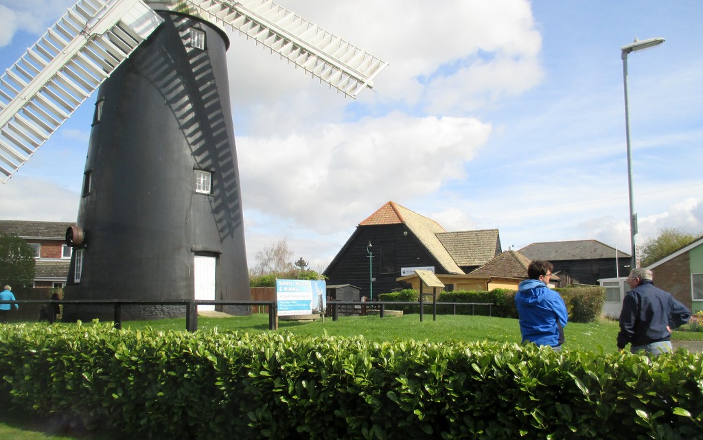 Visitors to the Windmill by g3xbm