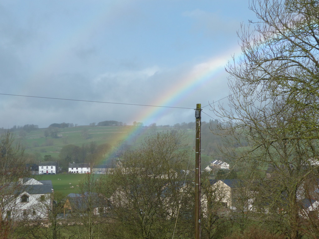 Rainbow by shirleybankfarm