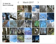 1st Apr 2017 - My 31 shots for March collage