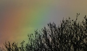 1st Apr 2017 - The return of the rainbow