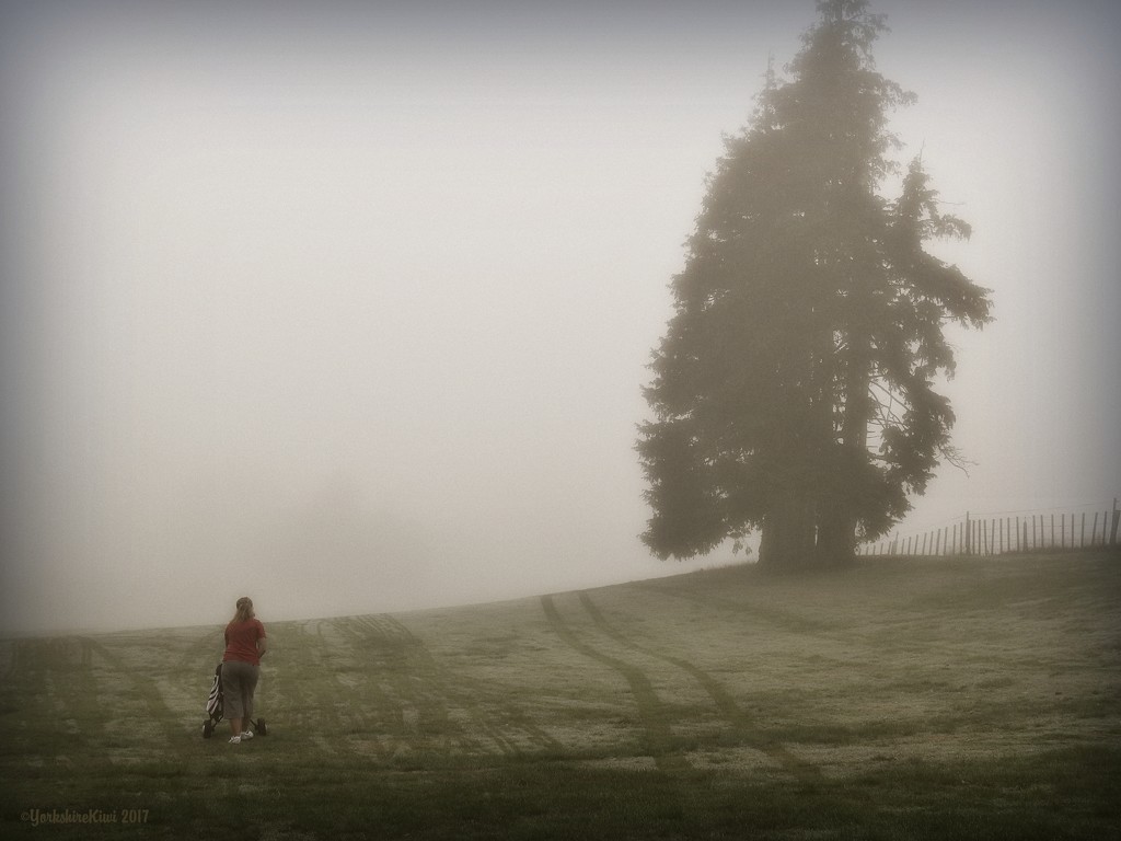 Foggy morning by yorkshirekiwi