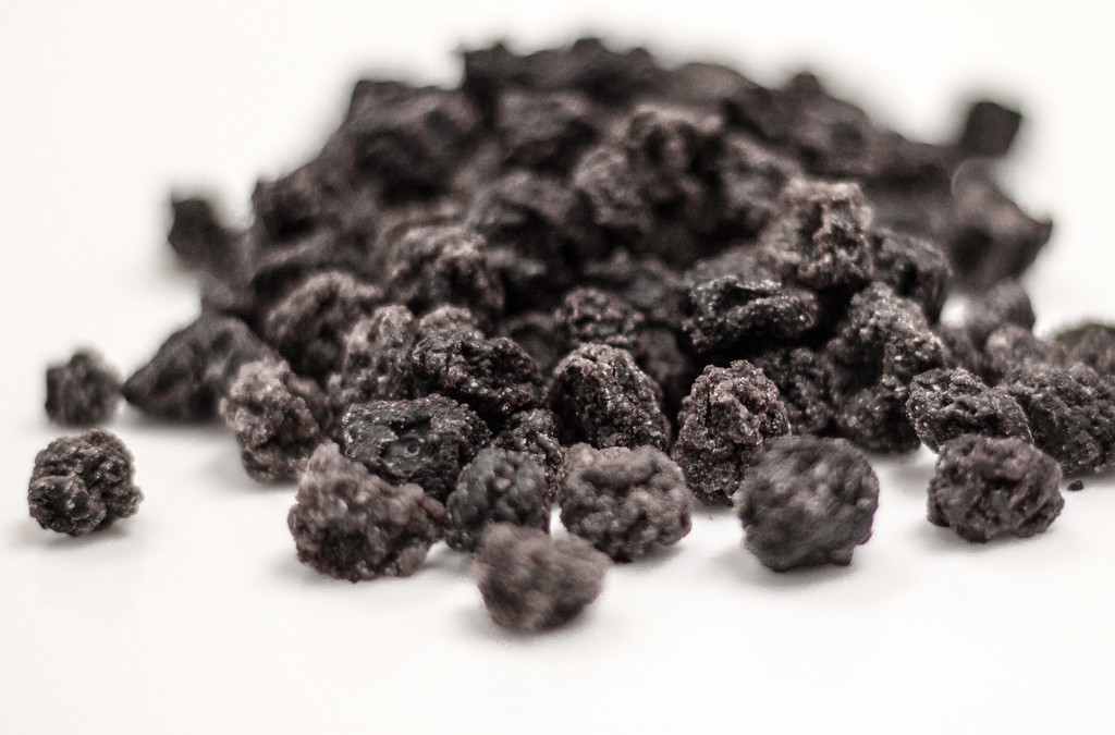 Dried Blueberries by jetr