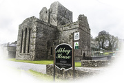 18th Apr 2016 - Boyle Abbey, Knocknashee, Boyle, Co. Roscommon, Ireland