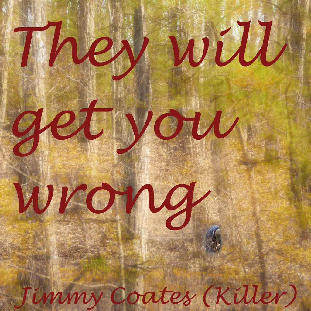 They will get you wrong by francoise
