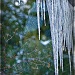 Hypotic Icicles by bluemoon