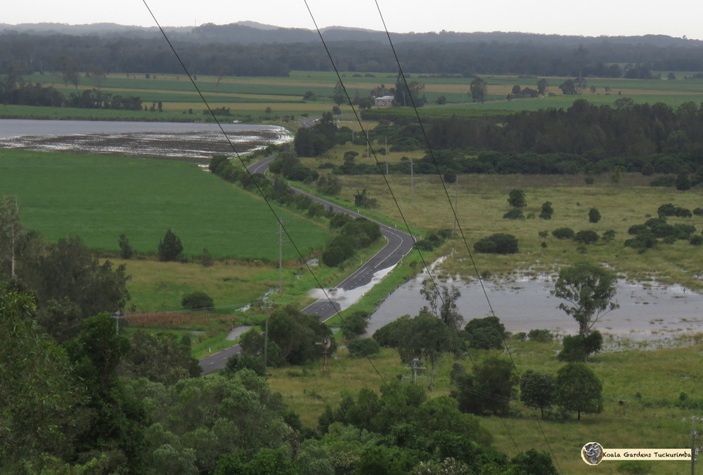 pushing thru flood waters by koalagardens