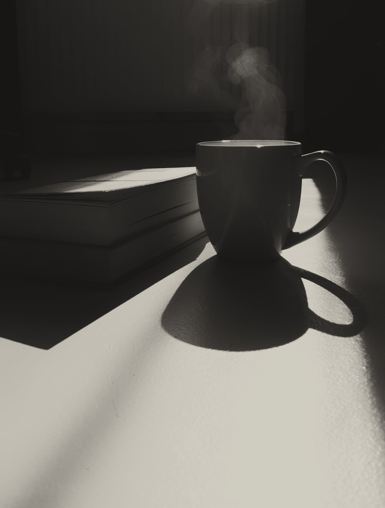 Tea and books and peace and quiet... by m2016