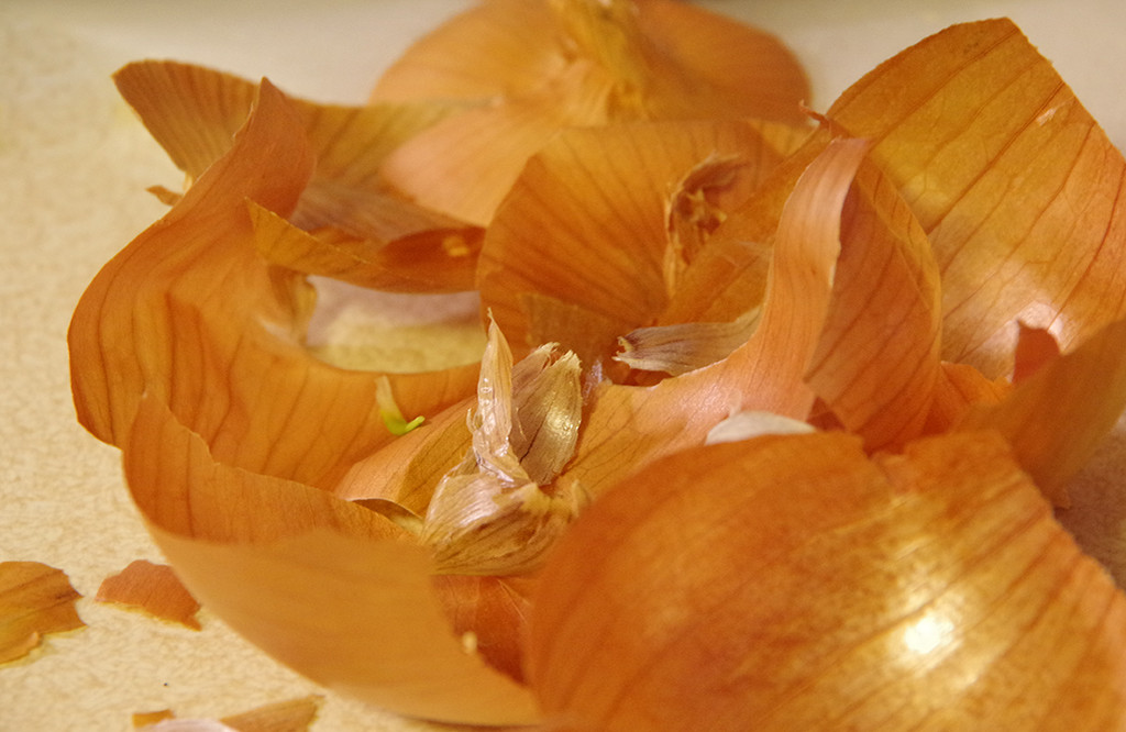 Onion Skins by houser934