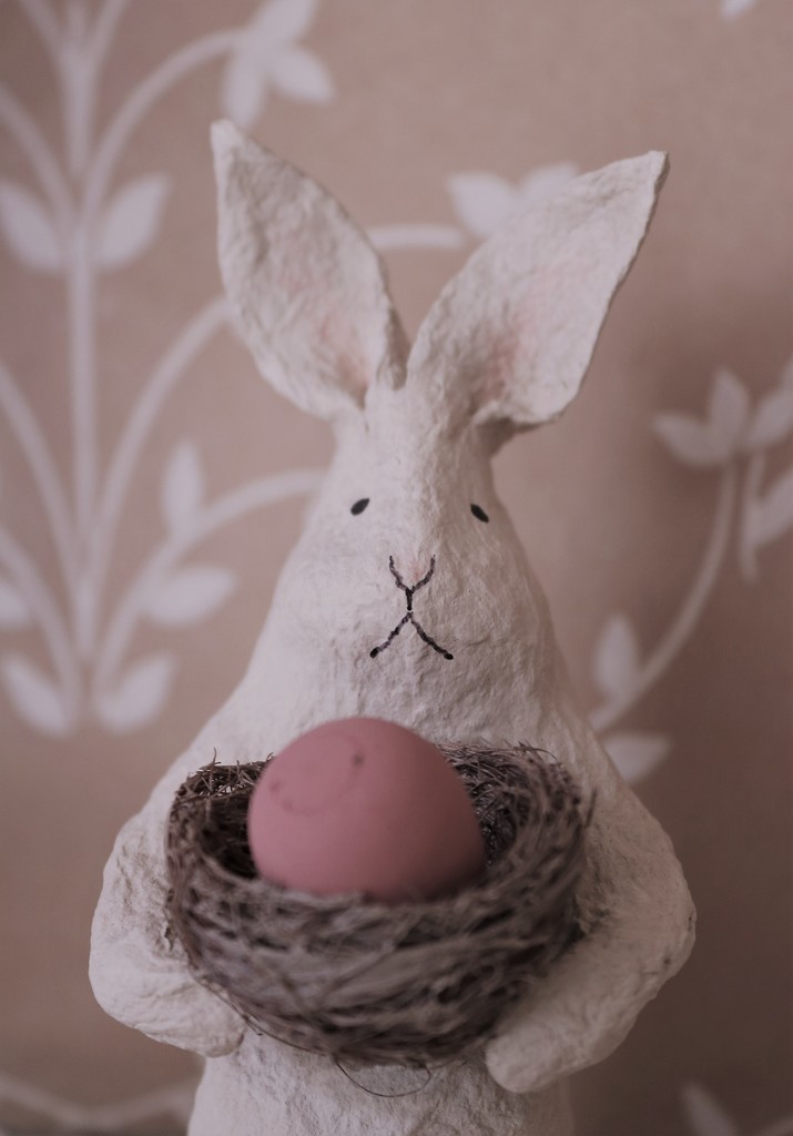 some bunny by edorreandresen