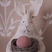 some bunny by edorreandresen