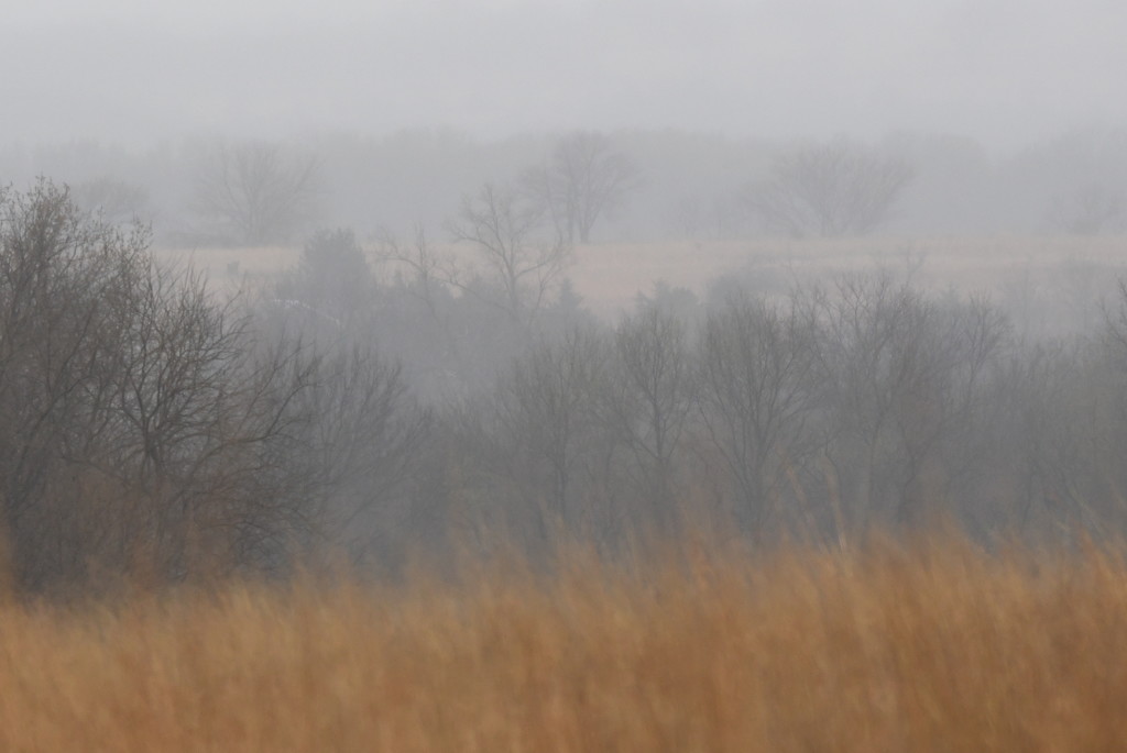 Misty Kansas Landscape by kareenking