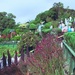 Giant's garden by kiwinanna