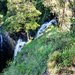 Mapleton Falls by jeneurell