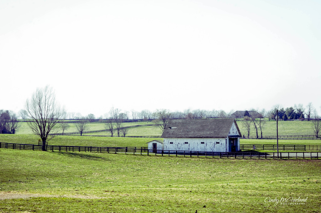Little Barn in the Big Field by cindymc