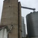Grain Buildings by wilkinscd