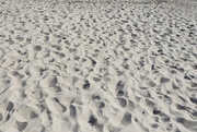 30th Nov 2016 - Beach texture