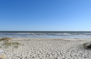 16th Nov 2016 - Casswell Beach, NC - hello Atlantic Ocean