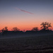 The farm across the field at sunrise... thanks to Mitzi! by vignouse