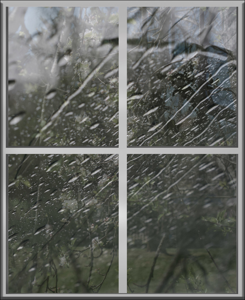 #91 - Rainy Day by randystreat