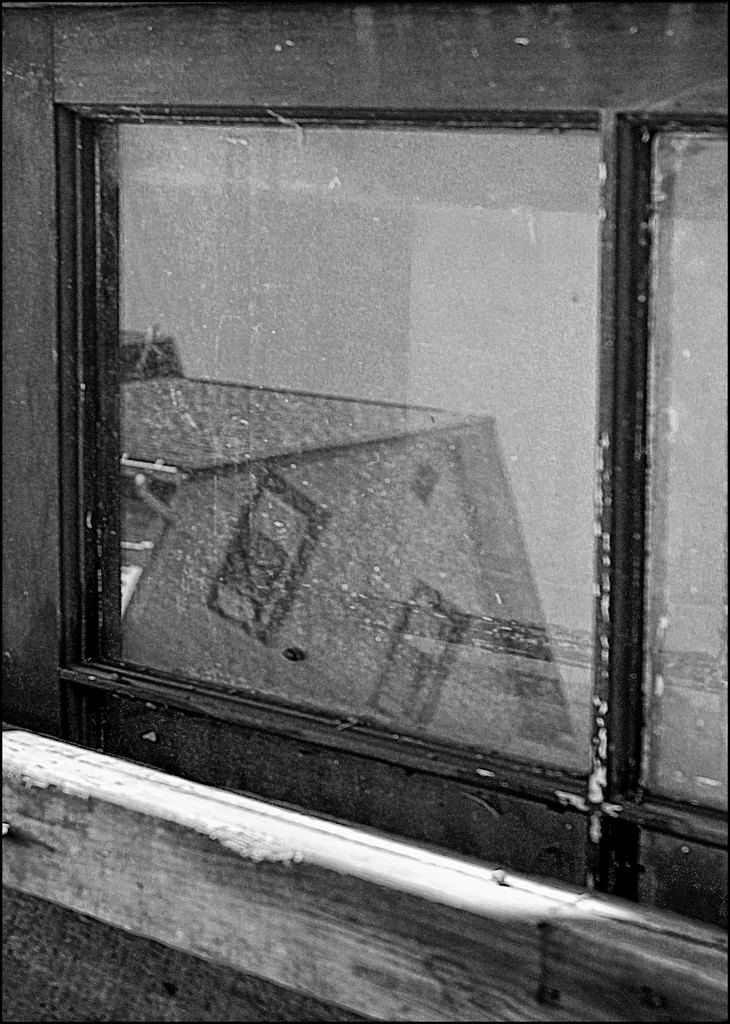 Window Reflection (Black and White) by olivetreeann