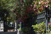 4th Apr 2017 - Entrance to Waterfront Park, Charleston, SC