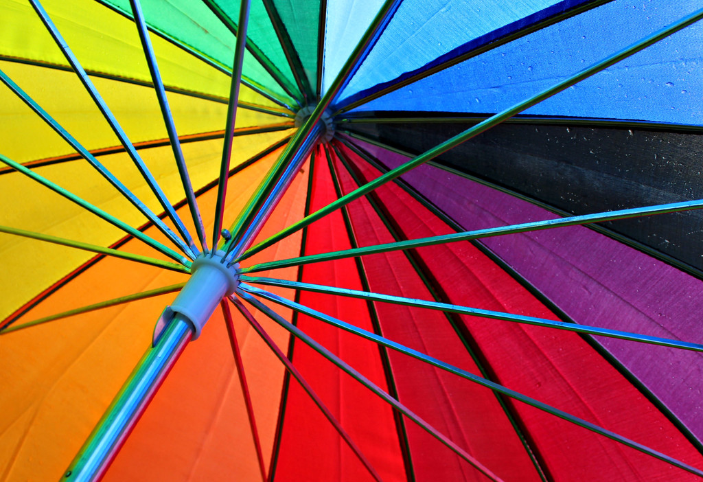 Under My Umbrella. by wendyfrost