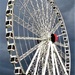 Wheel of Brisbane ~ by happysnaps