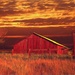 Red Barn In Oil by joysfocus