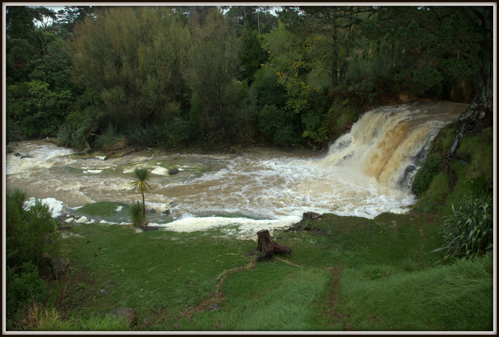 Waitangi Falls by dide