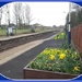 Railway Station planter. by grace55
