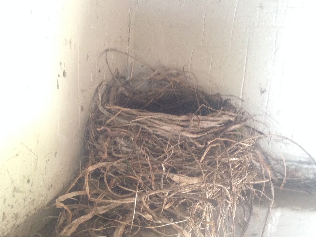 Porch Nest by gratitudeyear