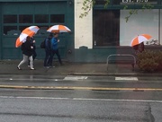 5th Apr 2017 - The Amazon umbrellas were out today!   