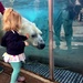 Petting a polar bear by mdoelger