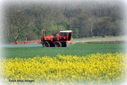 6th Apr 2017 - Spraying the fields