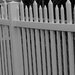 Camo fence by kathyrose