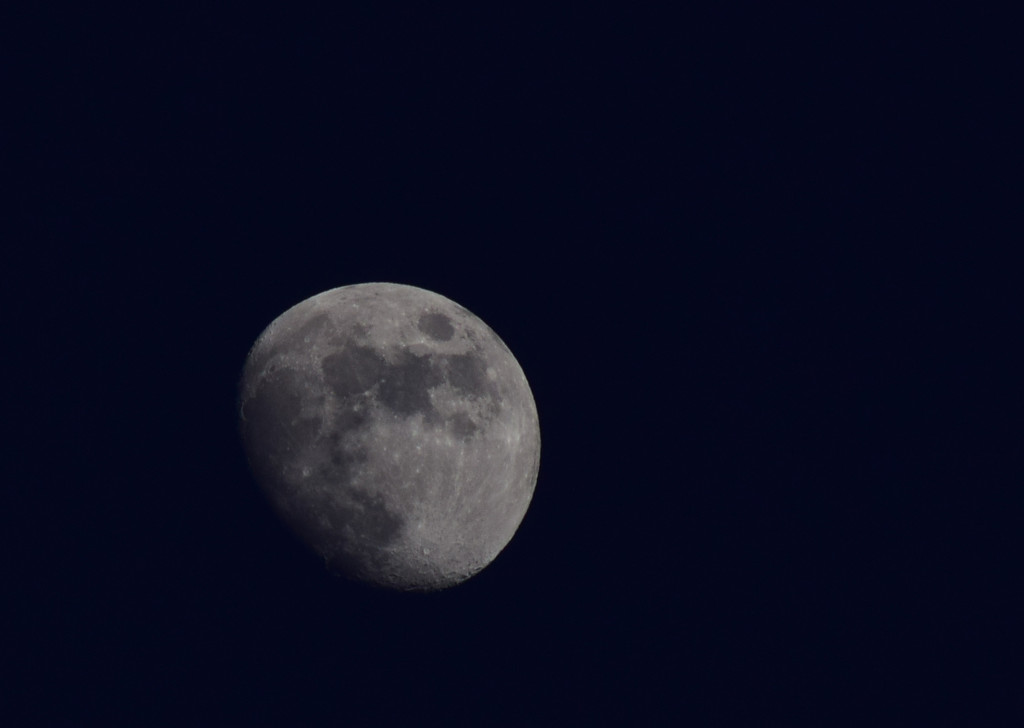 moon by ianmetcalfe