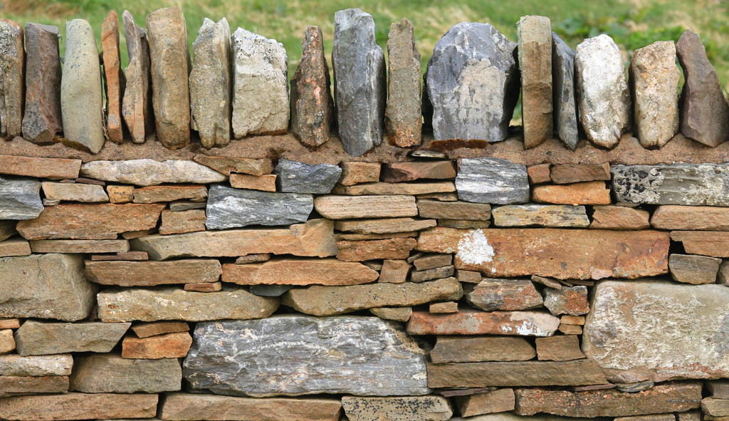 Dry Stane Wall by lifeat60degrees
