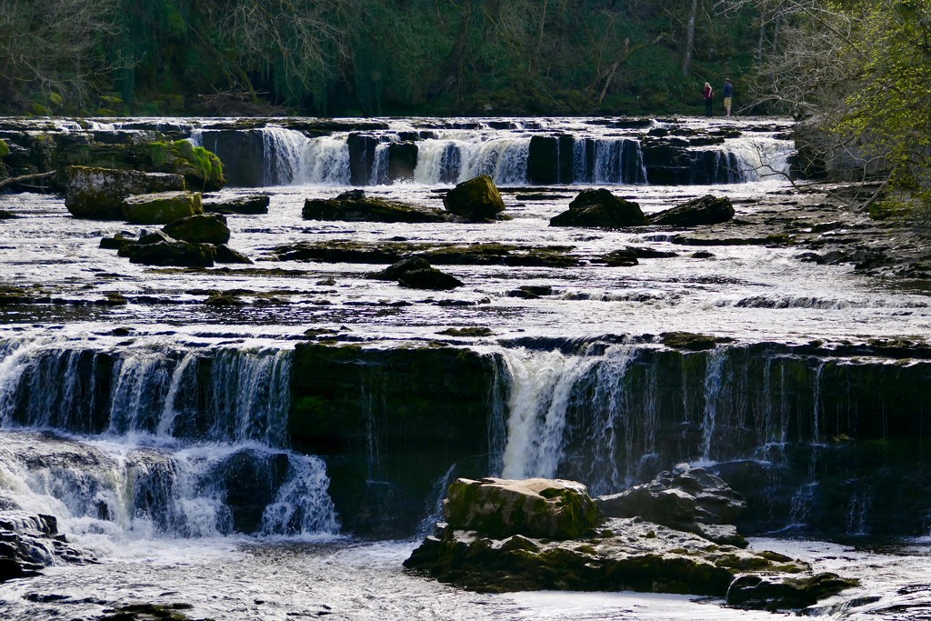 Aysgarth Falls by carole_sandford