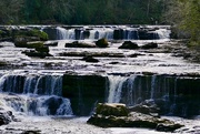 7th Apr 2017 - Aysgarth Falls