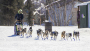 7th Apr 2017 - Kobuk 440