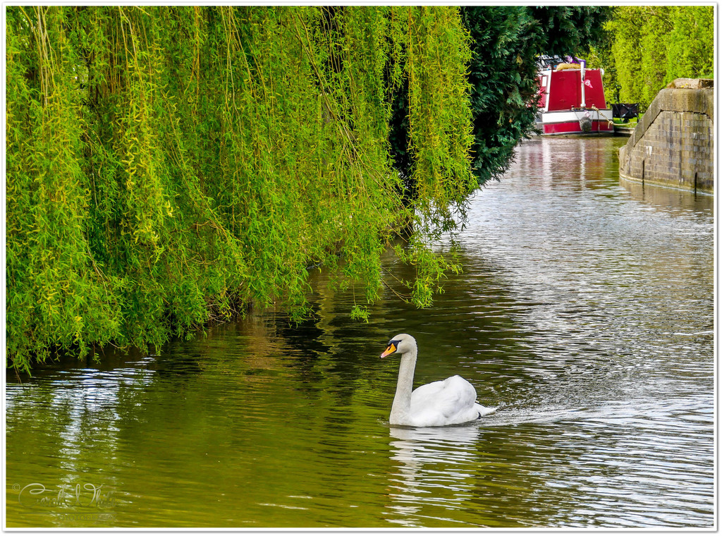 A Peaceful Afternoon On The Canal by carolmw