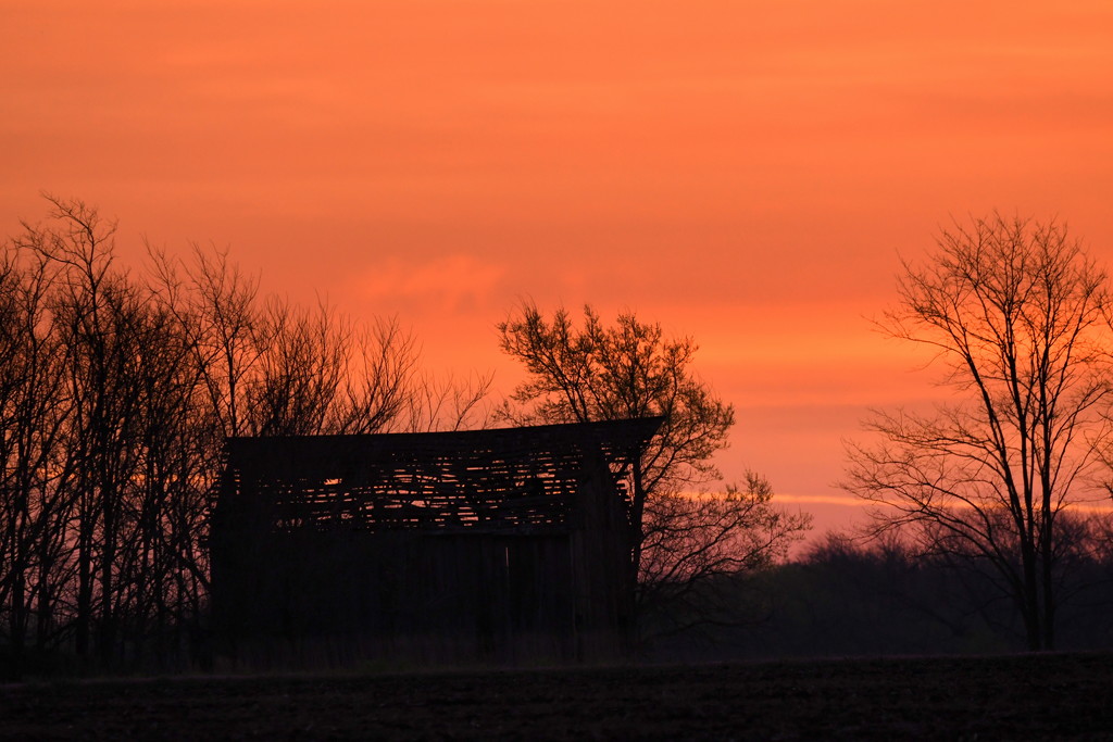 Barn Before Sunrise by kareenking