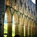 Sunlit Arches by carole_sandford