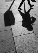 8th Apr 2017 - Pavement shadows