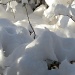Snow and sun by pyrrhula